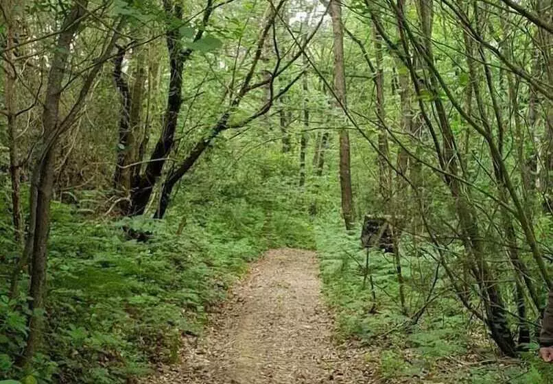 ホテル šuma Disanje