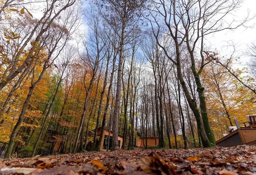 酒店 šuma Disanje