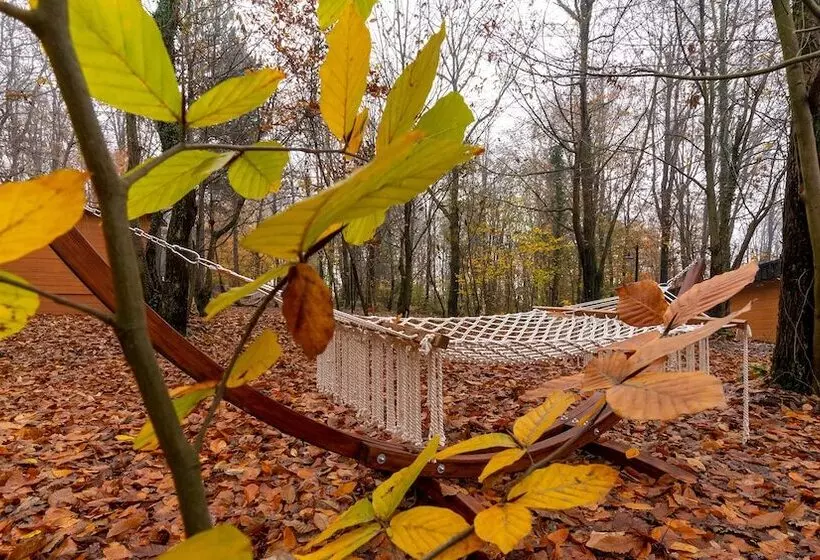 ホテル šuma Disanje