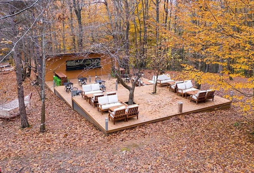 酒店 šuma Disanje