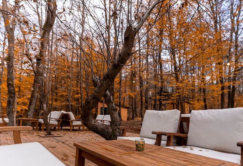 酒店 šuma Disanje