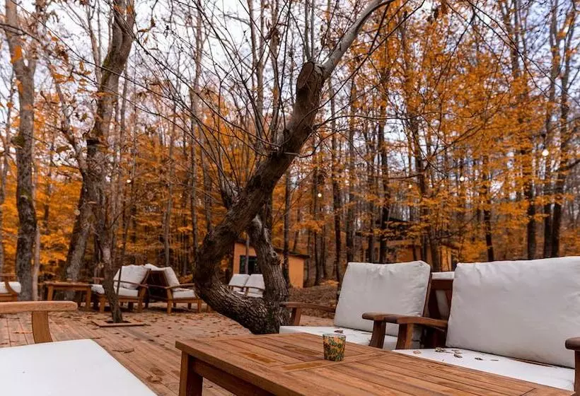 ホテル šuma Disanje