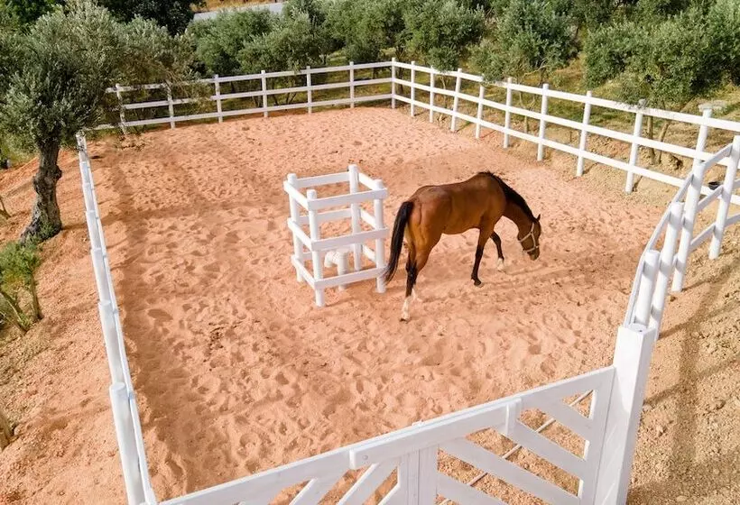 Hotelli Urlachi çiftliği