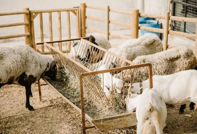 Hotelli Urlachi çiftliği