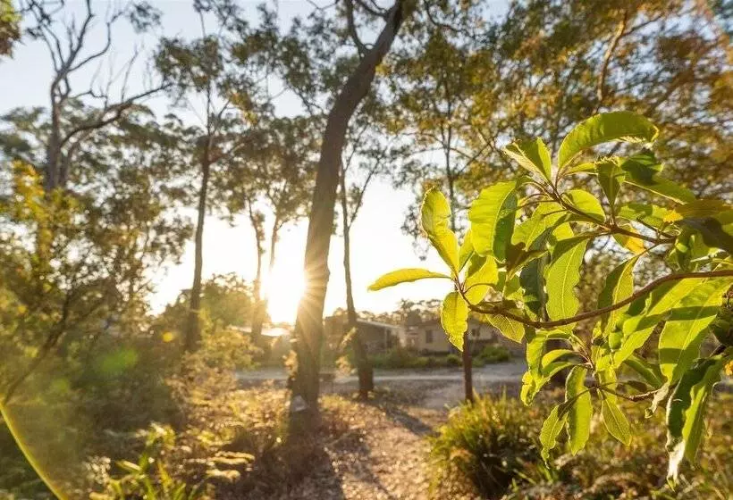 Lomakeskus Tasman Holiday Parks   Myola