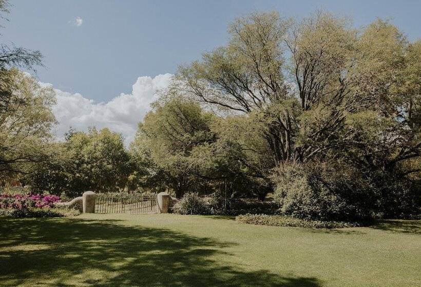 فندق Casa De Quino