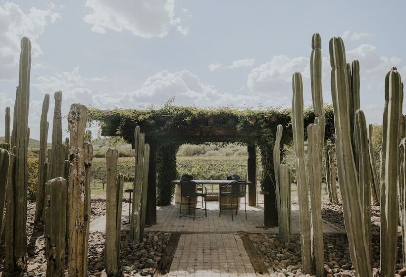 فندق Casa De Quino