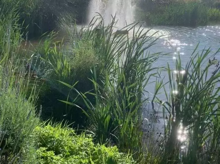 Hotelli Charming 5 Beds Caravan In Beautiful Seton Sands