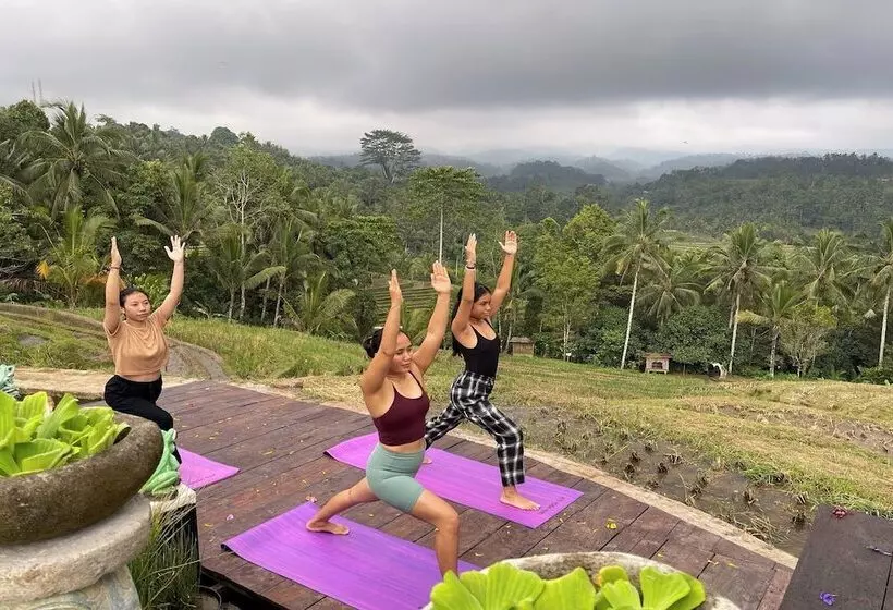 ホテル Kts   Kubu Tepi Sawah