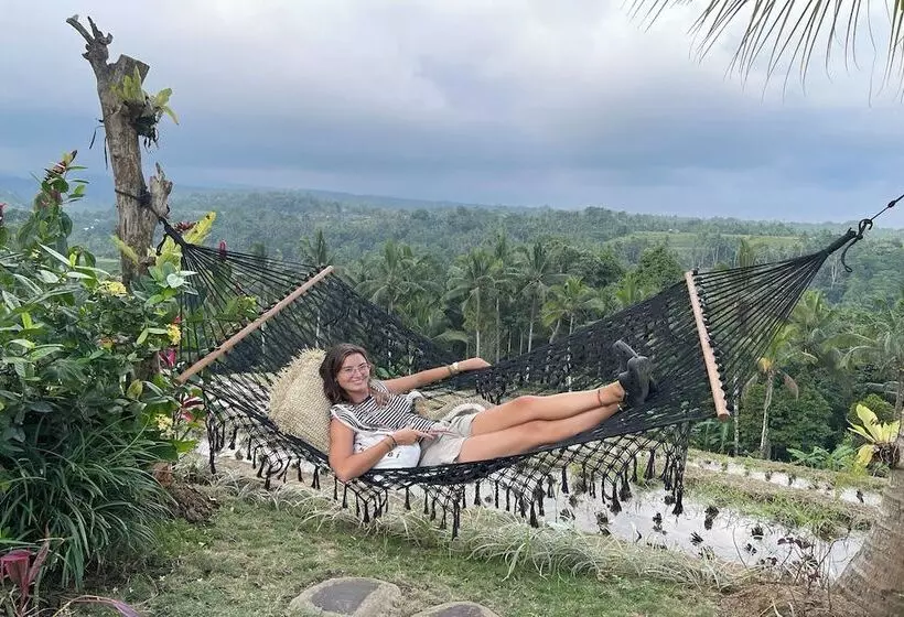 ホテル Kts   Kubu Tepi Sawah