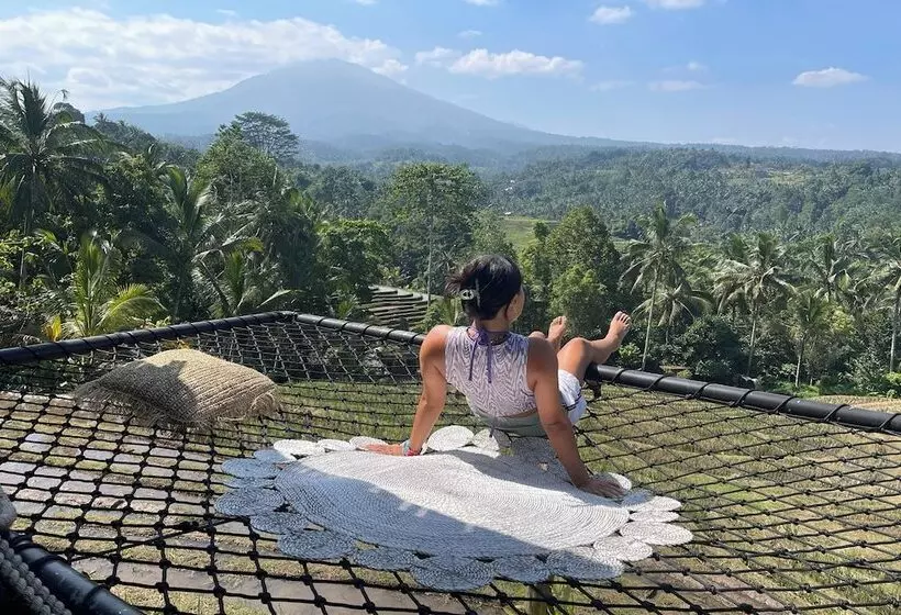 ホテル Kts   Kubu Tepi Sawah