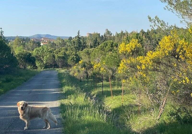 펜션 Le Domaine De La Tuilerie Gîte De Charme En Bord De Rivière Avec Piscine