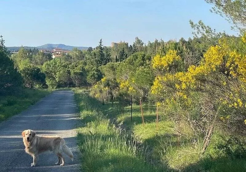 Majatalo Le Domaine De La Tuilerie   Gîte De Charme En Bord De Rivière Avec Piscine