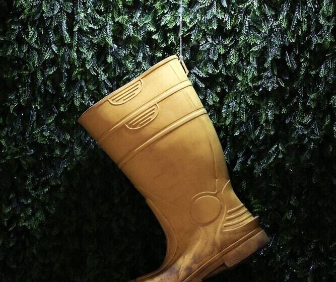 פנסיון The Ocean House