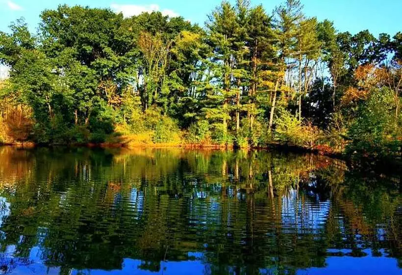 The Design Apartment At Sanctuary Of The Swan Wellness Hotel Swan Rescue Farm