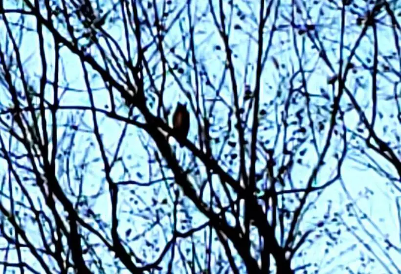 The Design Apartment At Sanctuary Of The Swan Wellness Hotel Swan Rescue Farm