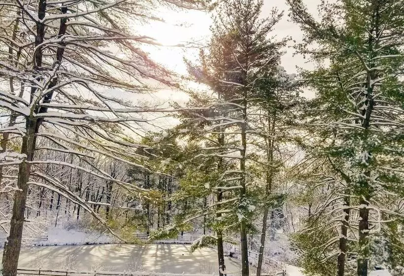 The Design Apartment At Sanctuary Of The Swan Wellness Hotel Swan Rescue Farm