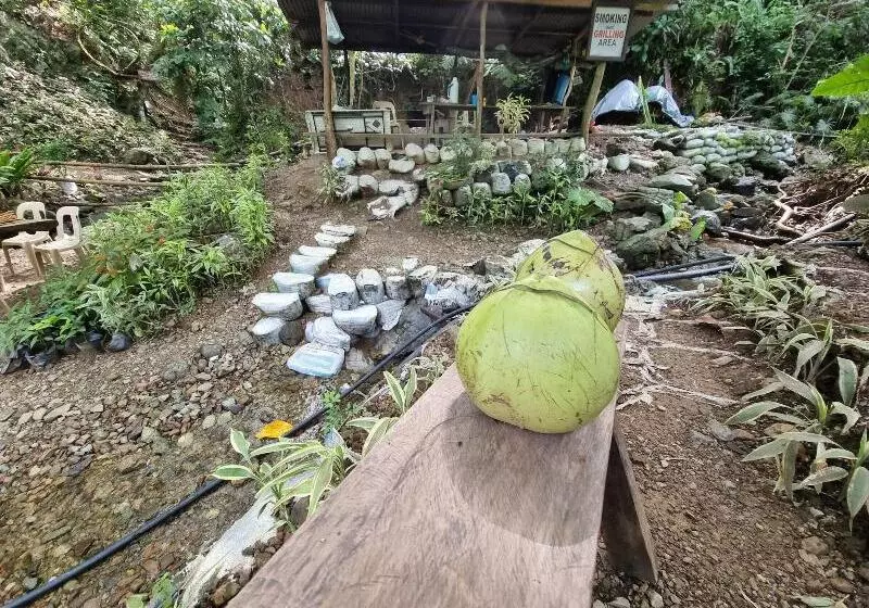 Zen Tierras Farm Powered By Cocotel