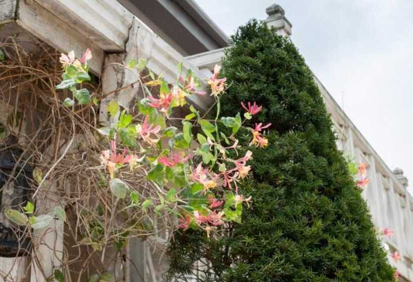 Anseong Provence Pension