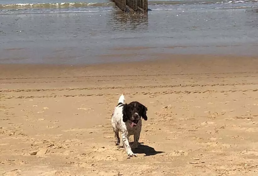 Aamiaismajoitus (B&B) Les Geais