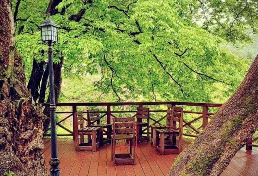 Danyang Pulkkotnamu Pension