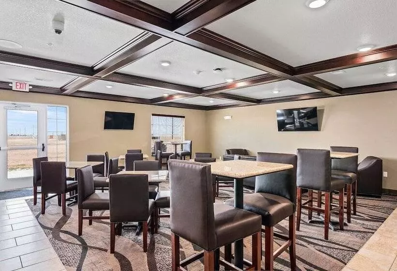 Hotelli Cobblestone Inn & Suites  Yuma