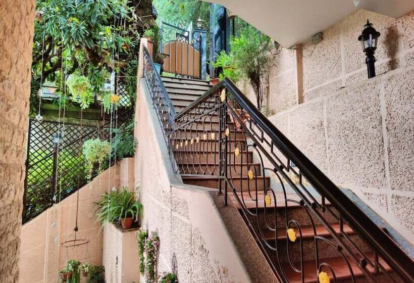 בית מלון כפרי Goroomgo Marc Shimla