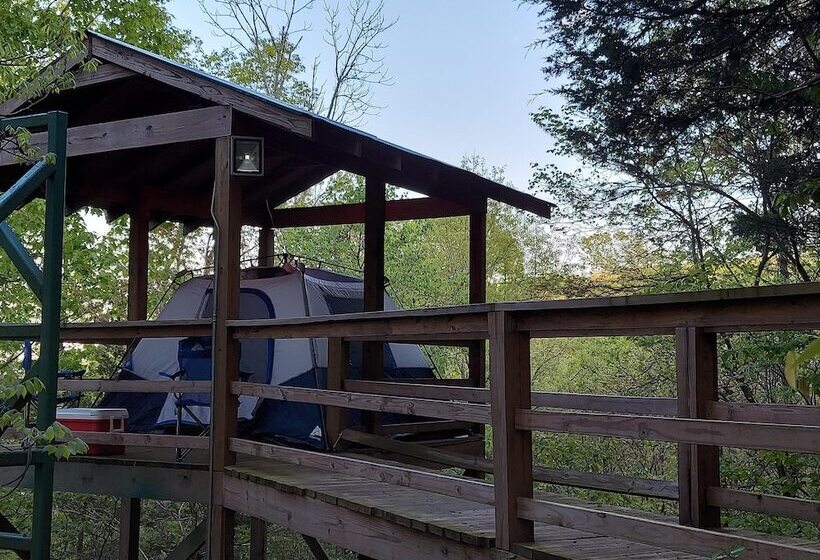 호텔 Treetopper Fully Set Up Tent Site With Bbq, Firepit, Outdoor Pool & Hiking