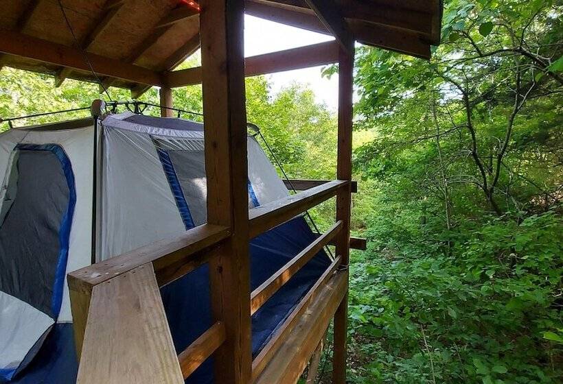 호텔 Treetopper Fully Set Up Tent Site With Bbq, Firepit, Outdoor Pool & Hiking