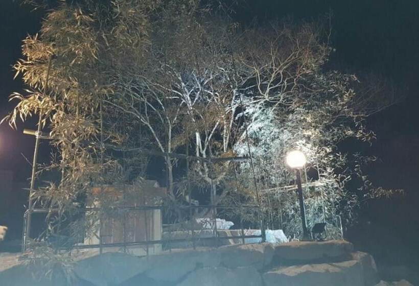 Jangseong Baegilhong Pension