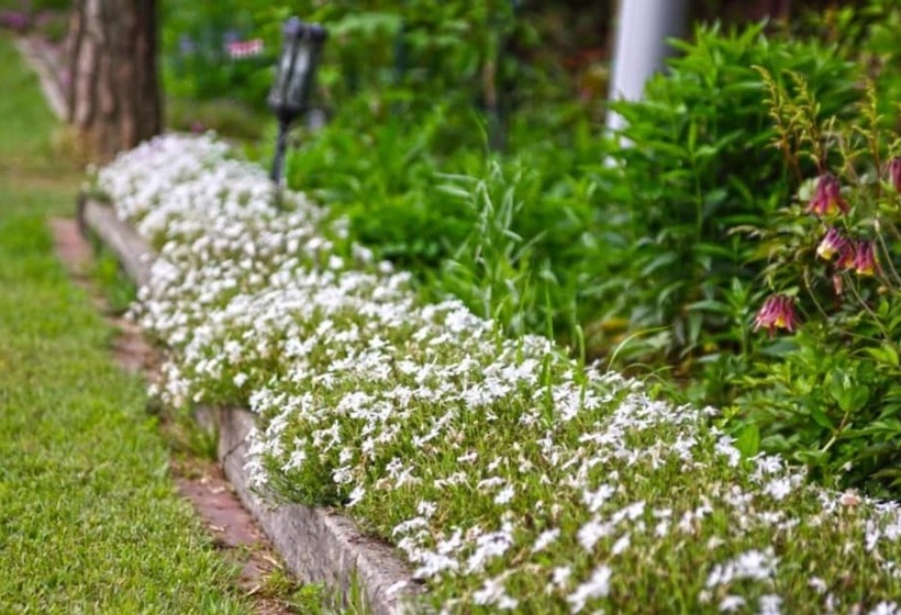 Namyangju Tannenbaum Pension