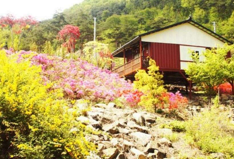 Пансион Chengyang Goun Healing Glamping