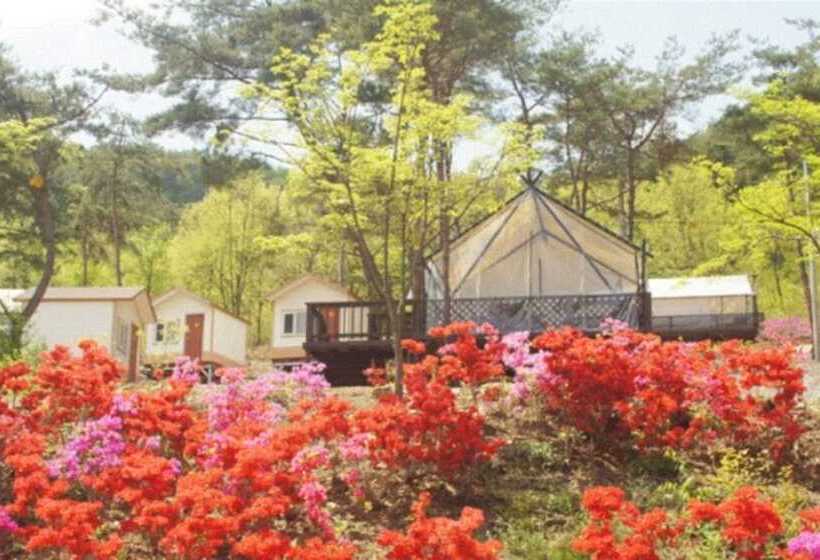 Пансион Chengyang Goun Healing Glamping