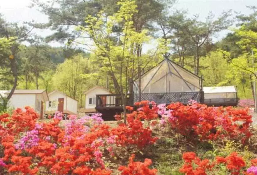ペンション Chengyang Goun Healing Glamping