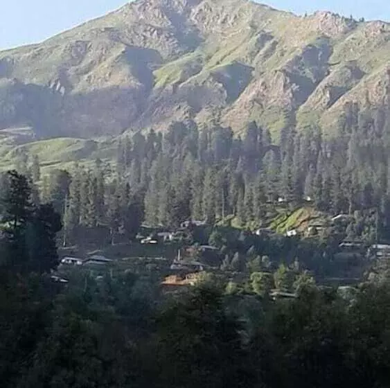 پانسیون Springfield Guest House