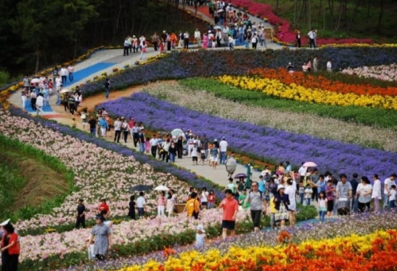 Taean Badaui Achim Pension