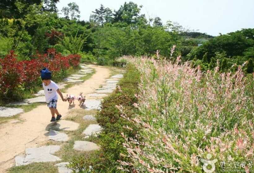 Taean Badaui Achim Pension