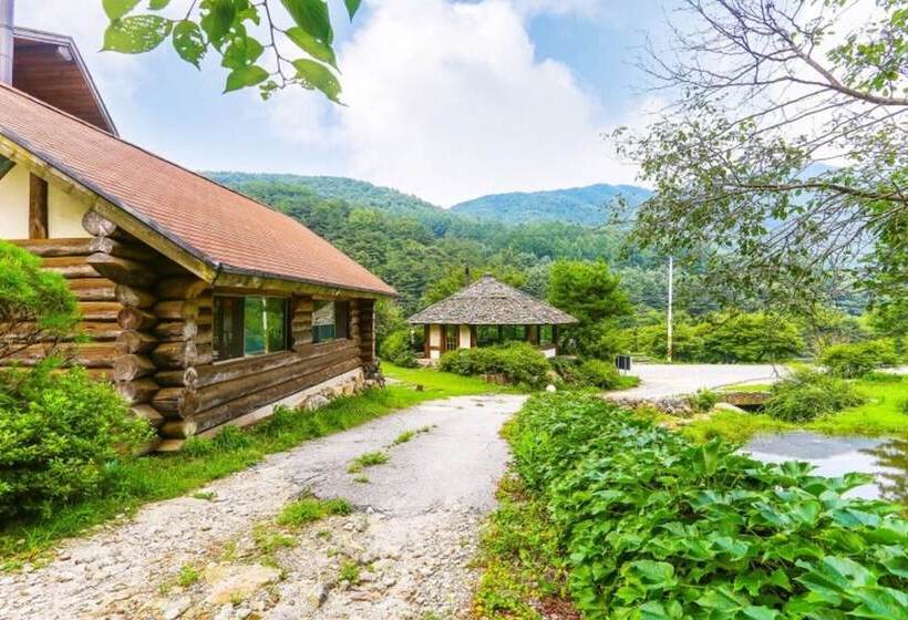 Yangpyeong Log Camp Pension