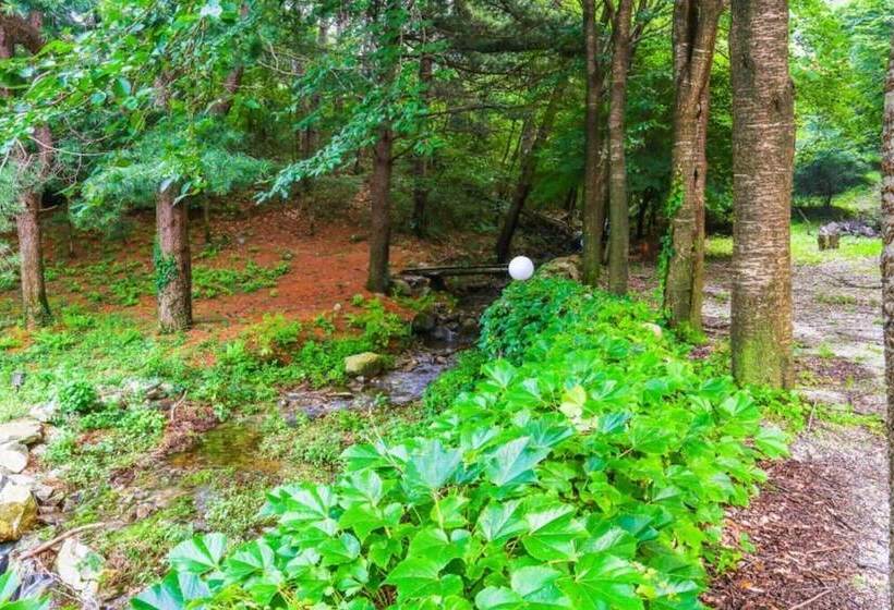 Yangpyeong Log Camp Pension