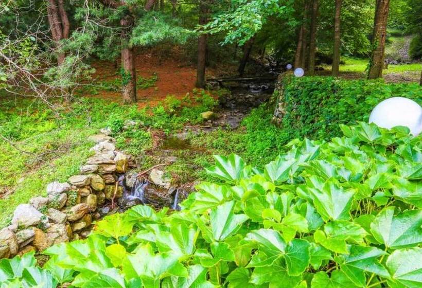 Yangpyeong Log Camp Pension