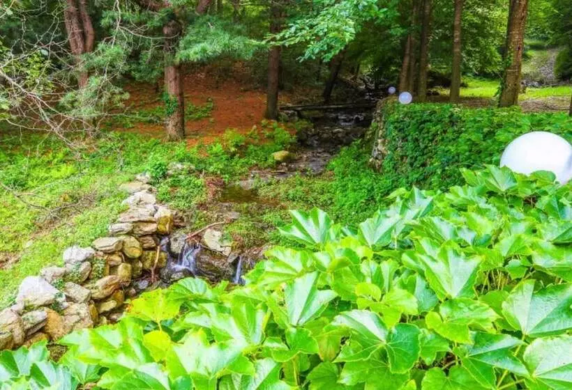 Yangpyeong Log Camp Pension