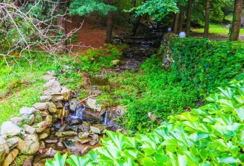 Yangpyeong Log Camp Pension