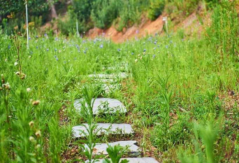 Yeongdeok Hyanguiteo Pension