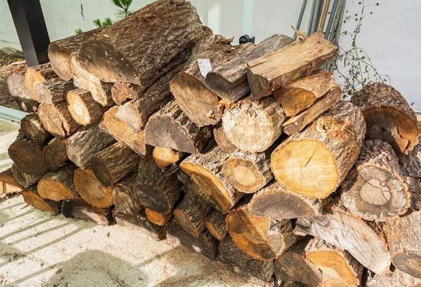 Boeun Songnisan Ok Pension