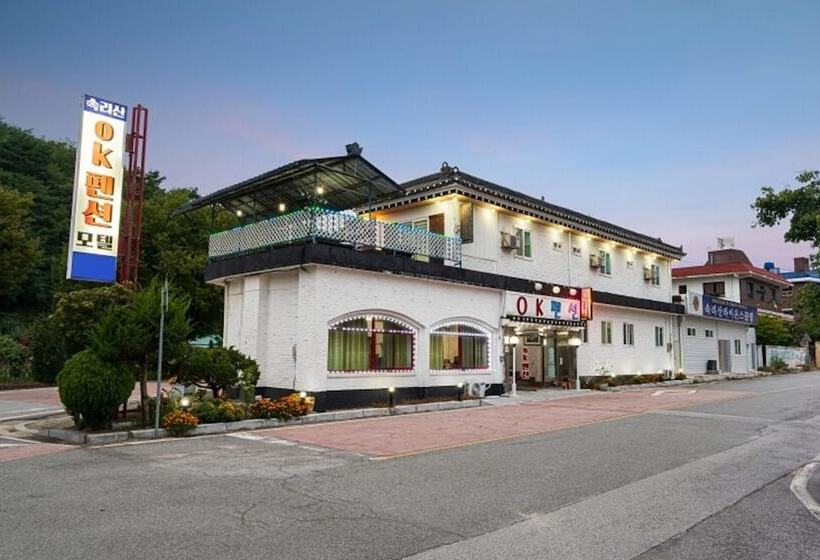 Boeun Songnisan Ok Pension