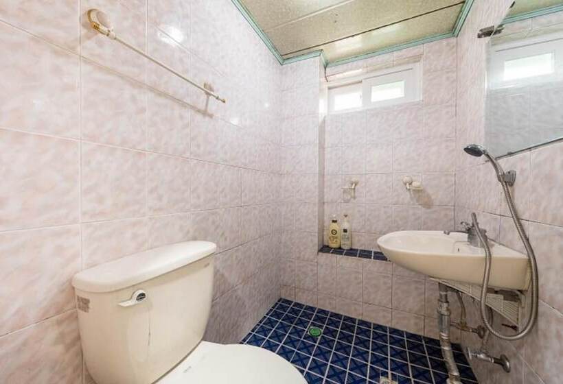 Boeun Songnisan Ok Pension