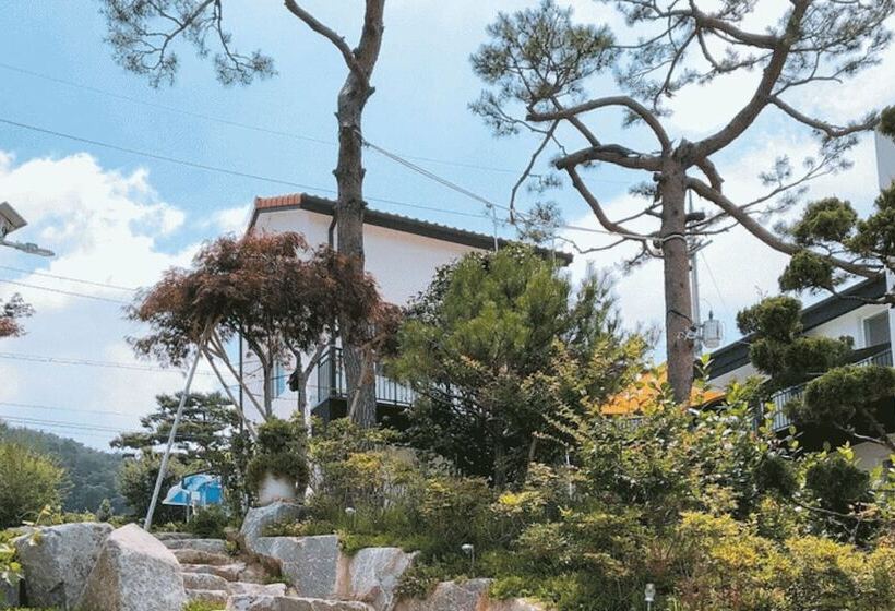 Damyang Sonamu Pension