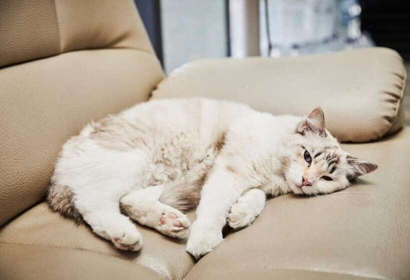 Gangneung Refresh Pension