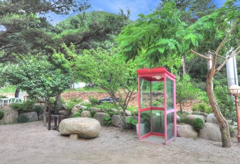 Inje Solbathwangto Pension