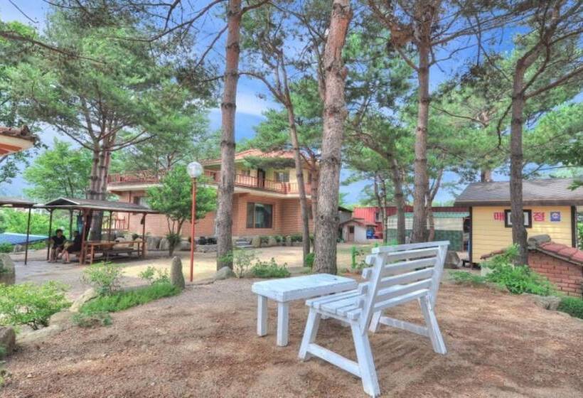 Inje Solbathwangto Pension